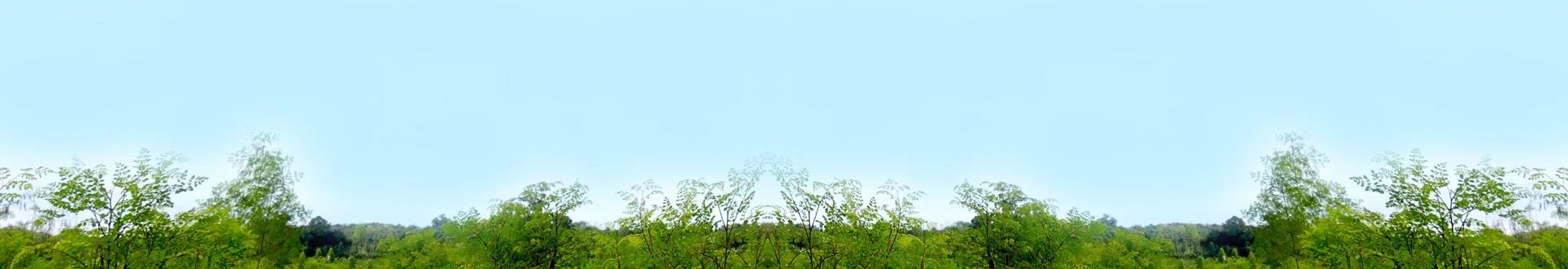 &nbsp;